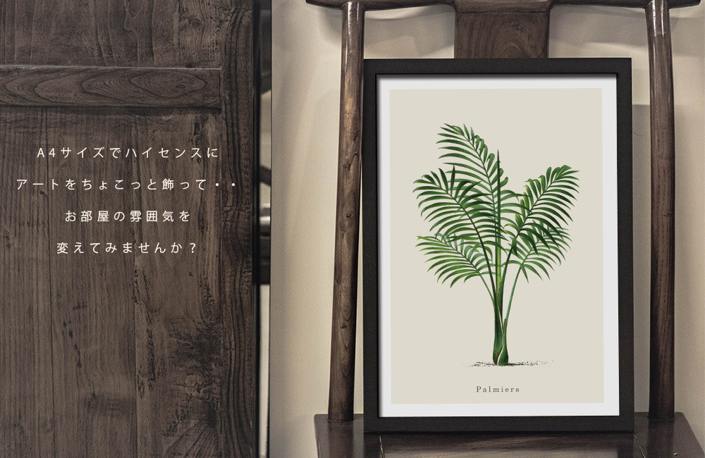 Amazon｜TYBBAG 薬用植物ポスター ヴィンテージ ボタニカル