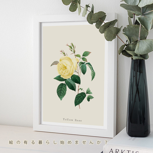 ポスター ボタニカル イエローローズ バラ 花 観葉植物 おしゃれ オリジナルデザイン アートポスター A1 A2 A 2枚目の画像