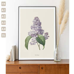 ポスター ボタニカル ライラック 花 観葉植物 おしゃれ オリジナルデザイン アートポスター A1 A2 A 2枚目の画像