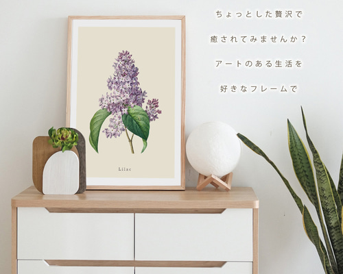 ポスター ボタニカル ライラック 花 観葉植物 おしゃれ