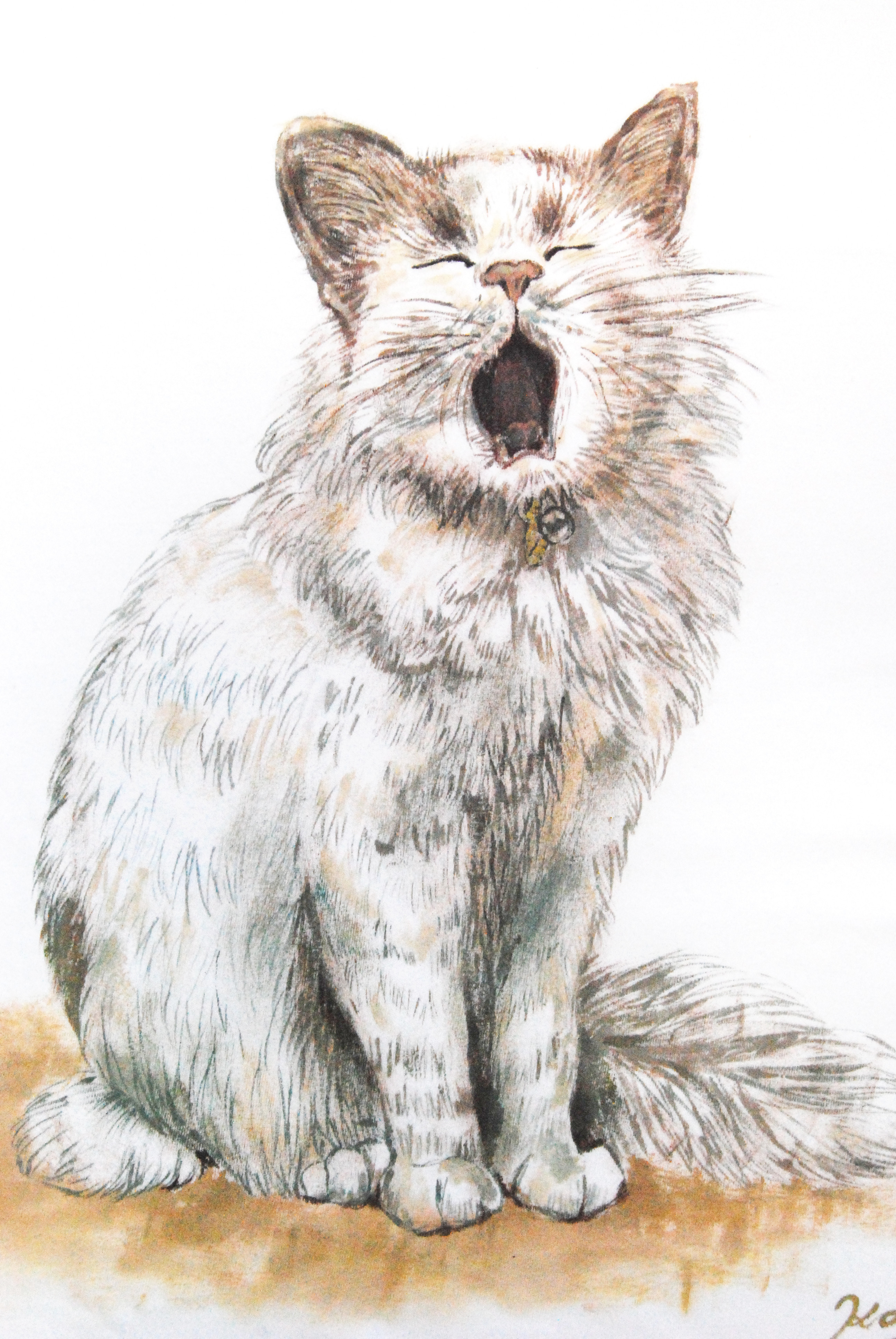 「あくび猫」Tシャツ　ペット　似顔絵 猫 Tシャツ　お好きなポーズ・写真で♪　リアル描写　綿　名入れ　プレゼント