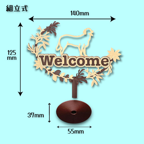  第6張的照片