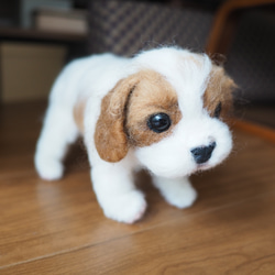 生後3ヶ月のキャバリア＊＊羊毛フェルトcavalier king charles spaniel 5枚目の画像