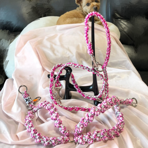 パラコード 8の字ハーネスまたは首輪 ラブラブ編みカフェリードセット