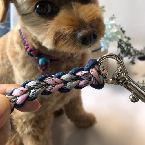 パラコードカフェリード　ハーネス パラコード カフェリード 大型犬用 (全長150cm) カラーお揃い
