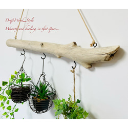 流木インテリア 古木風のシンプルな天然流木のハンガーフック 流木ハンガー ハンギング ウォールデコ 北欧 No.134 4枚目の画像