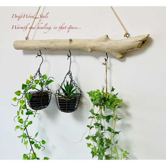 流木インテリア 古木風のシンプルな天然流木のハンガーフック 流木ハンガー ハンギング ウォールデコ 北欧 No.134 3枚目の画像