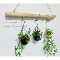 流木インテリア 古木風のシンプルな天然流木のハンガーフック 流木ハンガー ハンギング ウォールデコ 北欧 No.134 2枚目の画像