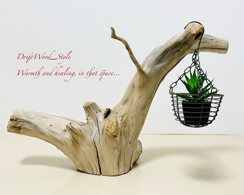 391f946af12474cf2d0ff269f241a0