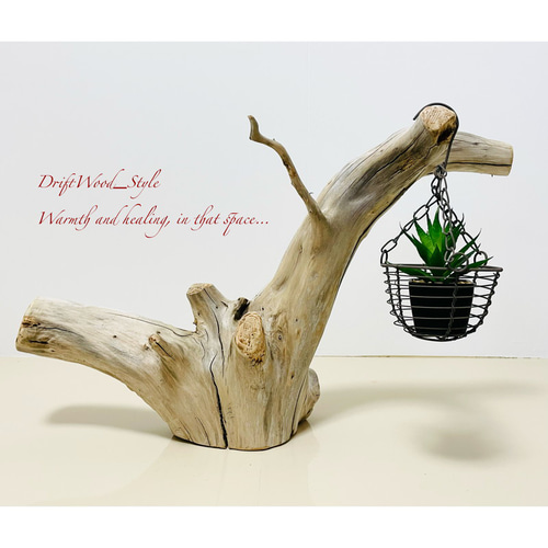インテリア...流木……。置物……。 流木インテリア 太い根が左右に広がる流木スタンド 植物や小物を置いて