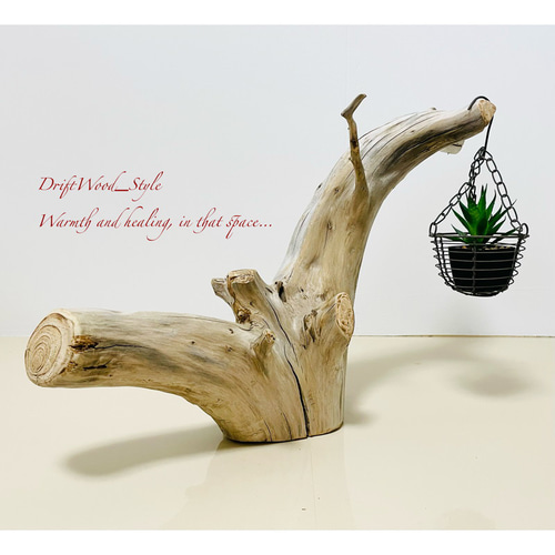 【希少／レア】流木　インテリア　置物 流木インテリア 太い根が左右に広がる流木スタンド 植物や小物を