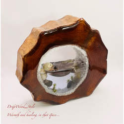 一つ限りの流木アート 海に浮かぶラッコ ジオラマ 流木 フィギュア 置物 インテリア レジン テラリウム 生き物 N2 8枚目の画像