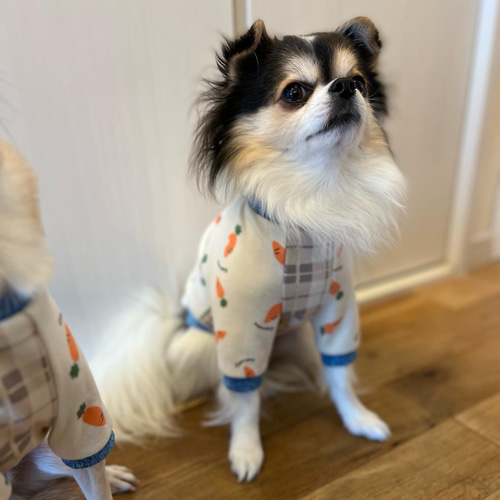 ハンドメイド犬服 前開きロンパース【完成品】XS M L XLサイズ