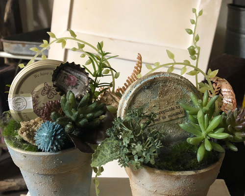 [非売品] ナチュラル多肉植物アレンジメント 壁掛け② 非売品] ナチュラル多肉植物アレンジメント 壁掛け②