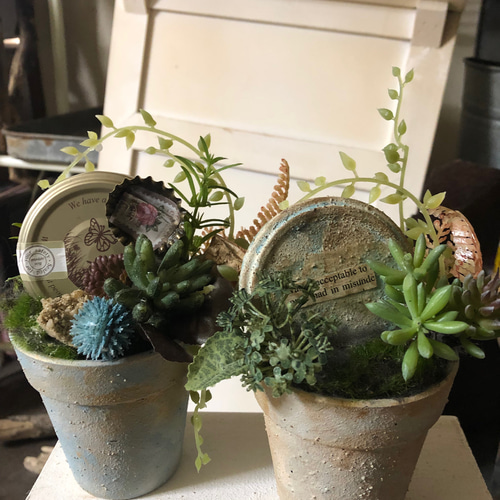 ボード　ヴィンテージ　ガーデニング　インテリア雑貨ハンドメイド　多肉 ボード ヴィンテージ ガーデニング インテリア雑貨ハンドメイド 多肉