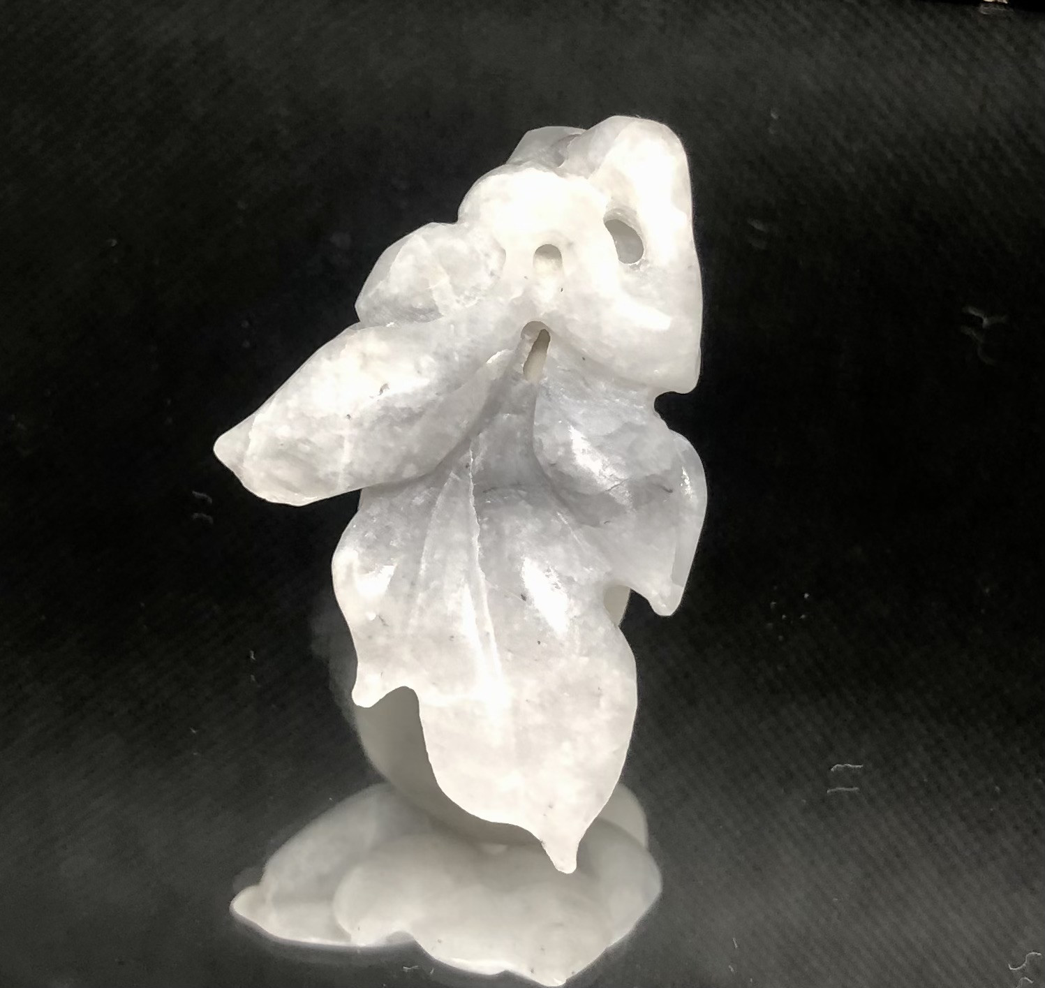淡雅幽香白玉蘭　ロンカン白翡翠
