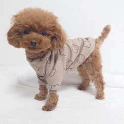 犬服‼︎ポップコーン柄スエードニット　袖あり　全2色⭐️XS.S.M.DXS.DS.DM 3枚目の画像