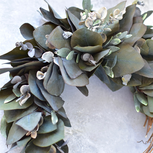 2025ユーカリリース》プリザーブドフラワー受注製作25cm プリザーブド