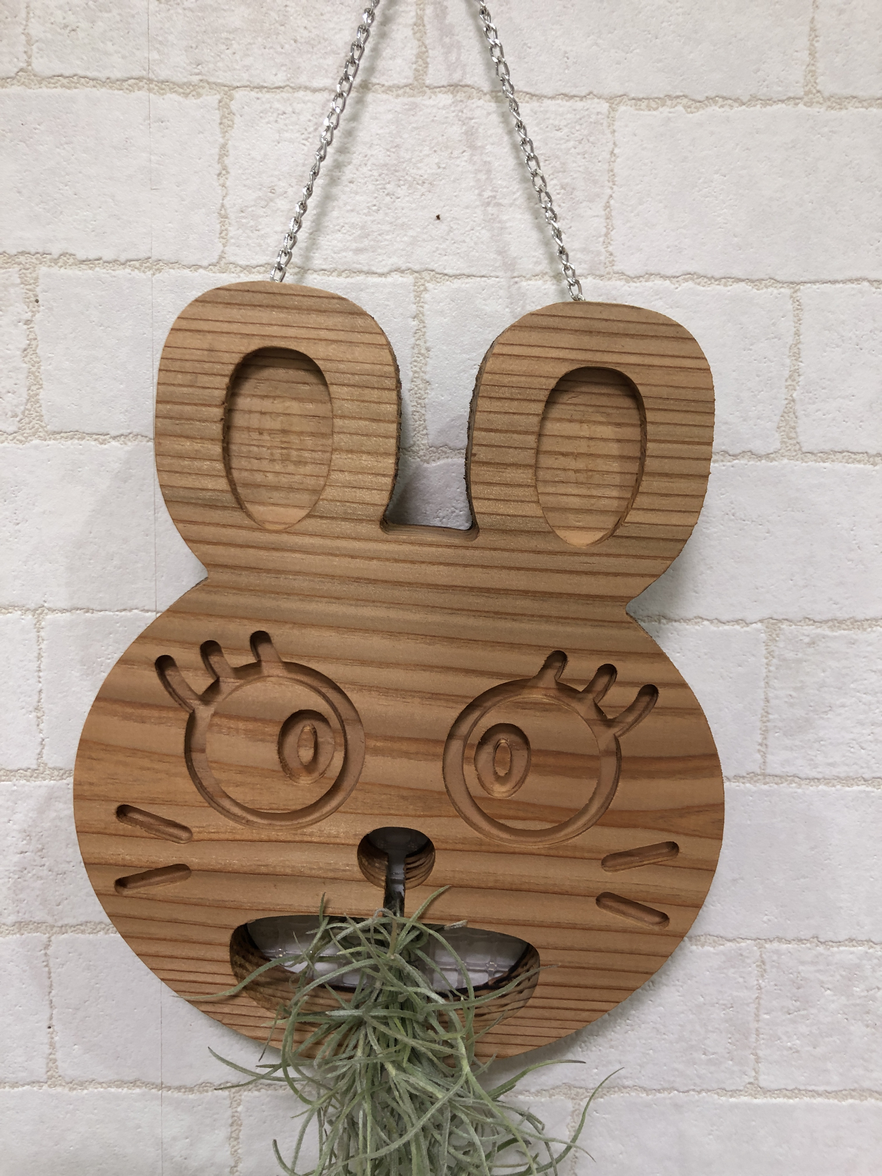 エアープランツandウサチャン板付き