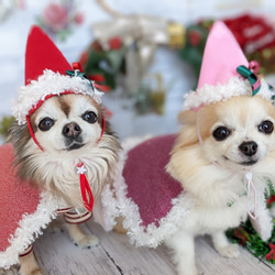 受注　クリスマスマント③赤（Ｌ）　コスプレ　超小型犬　猫用 7枚目の画像
