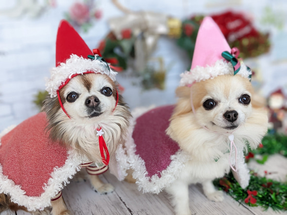 受注　クリスマスマント③赤（Ｌ）　コスプレ　超小型犬　猫用 7枚目の画像