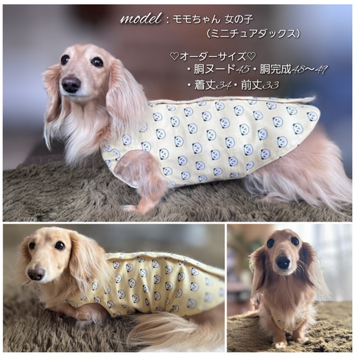 犬服 オーダー ◇ わんちゃんに優しい “おうちベスト” ◇ パンダ柄 W 