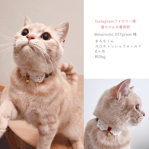 クリスマス(赤②)わんちゃん猫ちゃん用襟つき首輪、レースタイプ