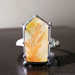 デンドリティック アゲートリング / Dendritic Agate Ring [] 3枚目の画像