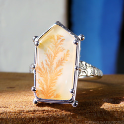 デンドリティック アゲートリング / Dendritic Agate Ring [] 1枚目の画像