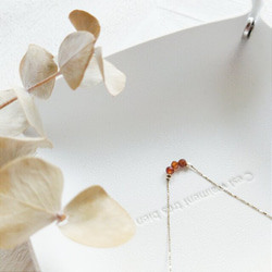 Lantana　ヘソナイト 4枚目の画像