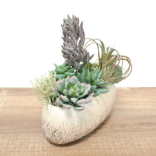 造花 多肉植物とエアプランツの寄せ植えアレンジメント フェイク