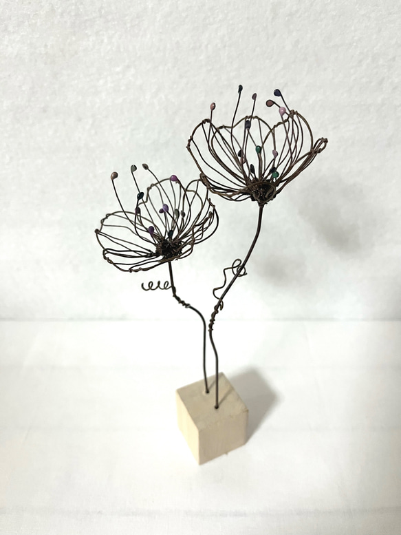 徒花 オーダーページ 1004145436_66ff831c32fd8.jpg