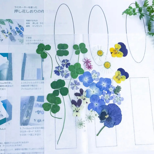 押し花しおりキット キット acan_thus 通販 14944734｜Creema