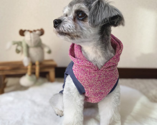 no.  1304 ハンドメイド  犬服 no.1028 ハンドメイド 犬服