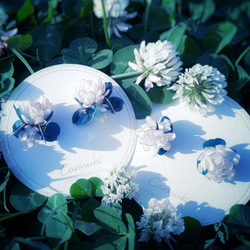 シロツメクサの花飾りピアス 4枚目の画像