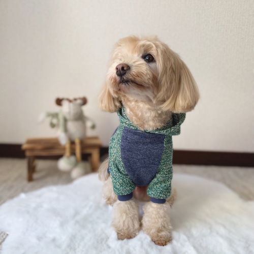 イヌノハナ] ふわふわトレーナー グリーン Sサイズ モコモコ かわいい