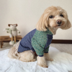 犬服‼︎デニム風トレーナー×ジャズカラーミックス　袖あり　全2色⭐️XS.S.M.DXS.DS.DM 3枚目の画像