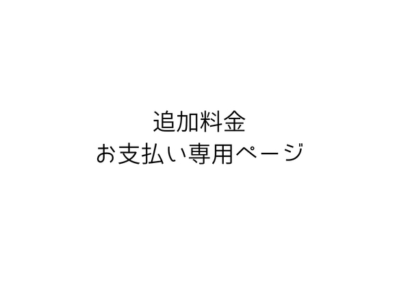 追加料金　お支払い専用ページ 1枚目の画像