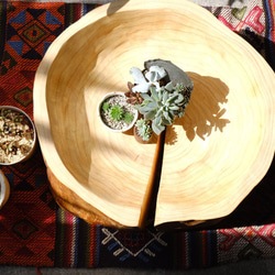 【桜の切り株　丸太】木の大きな器　ドイツ製蜜蝋コーティング　　　オブジェ　ウエディング　花台　店舗什器 11枚目の画像