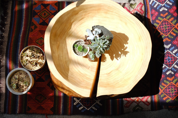 【桜の切り株　丸太】木の大きな器　ドイツ製蜜蝋コーティング　　　オブジェ　ウエディング　花台　店舗什器 11枚目の画像