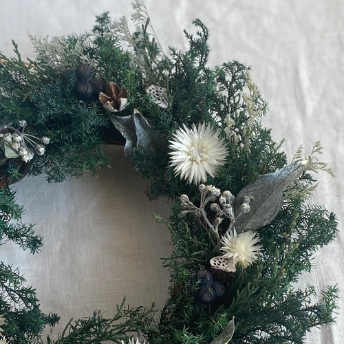 初冬の贈り物 シルバーブルーの針葉樹 ホプシーの シックなリース ドライフラワー