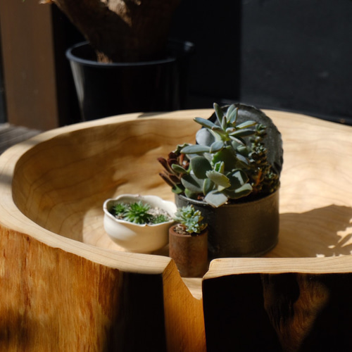 ☆一点物☆即日発送可☆ヒノキ 切り株 アルコールスタンド 丸太 オブジェ ☆一点物☆即日発送可☆ヒノキ 切り株 アルコールスタンド 丸太