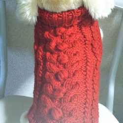 【犬用セーター】Ｍサイズ真っ赤なセーター出来ました! 2枚目の画像