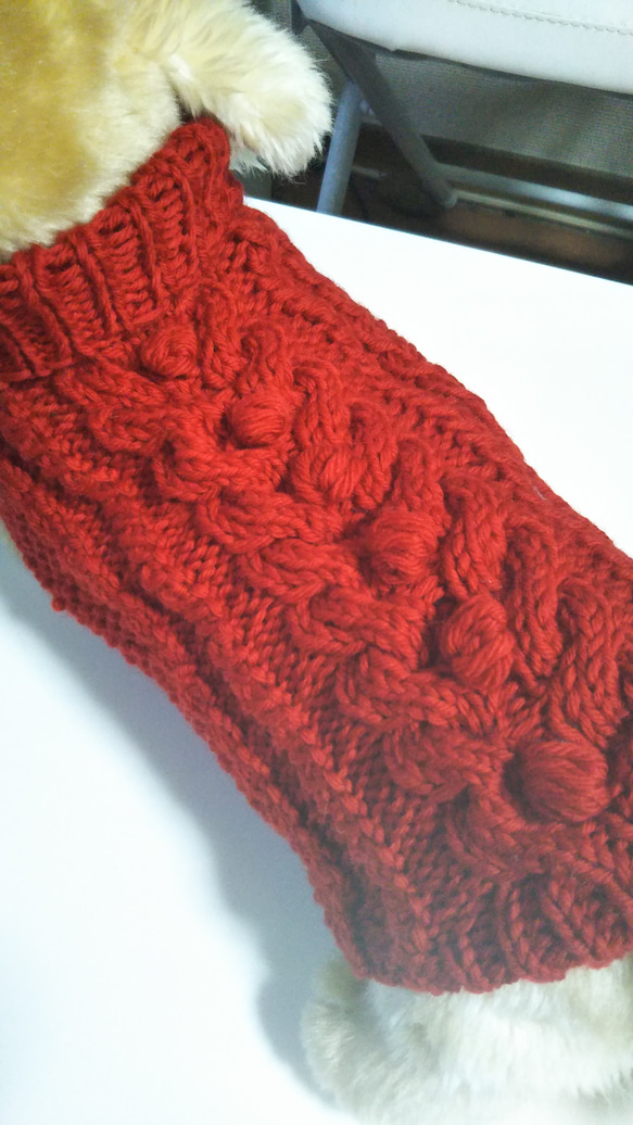 【犬用セーター】Ｍサイズ真っ赤なセーター出来ました! 4枚目の画像