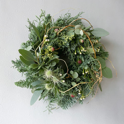 スワッグ ミモザ ユーカリ S スワッグ JUGGLERS 通販 15353558｜Creema