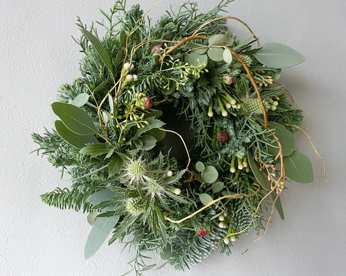 針葉樹・ユーカリ・月桂樹の動きある大きなクリスマスリース○ドライフラワーリース 針葉樹 ユーカリ リース（フルリース）クリスマスリース クリスマス