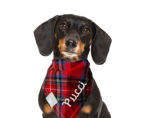 5d97ecc701180f320947b67eb145e5