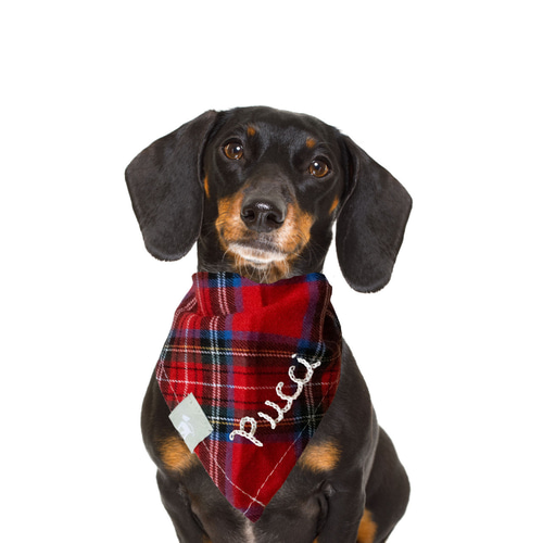 刺繍ネームが入る Sサイズバンダナ タータンチェック ペット ドッグ 犬