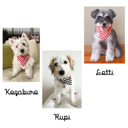 刺繍ネームが入る　Sサイズバンダナ　タータンチェック　ペット　ドッグ 犬 6枚目の画像