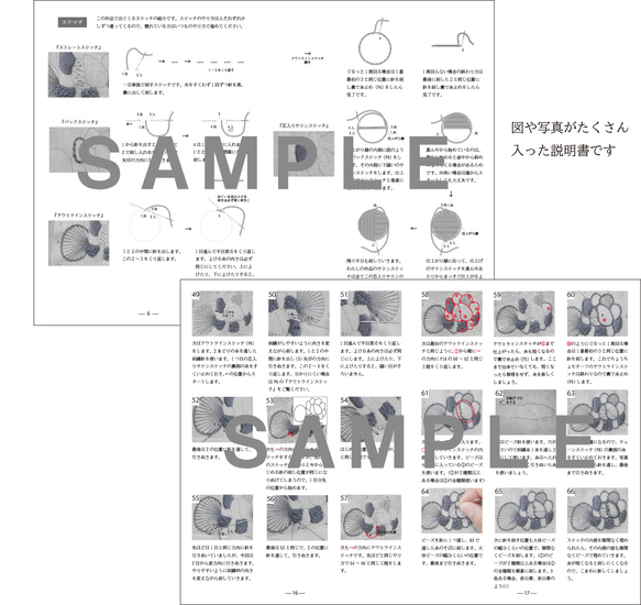  第11張的照片